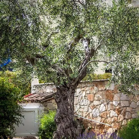 In Porec/istrien 10252