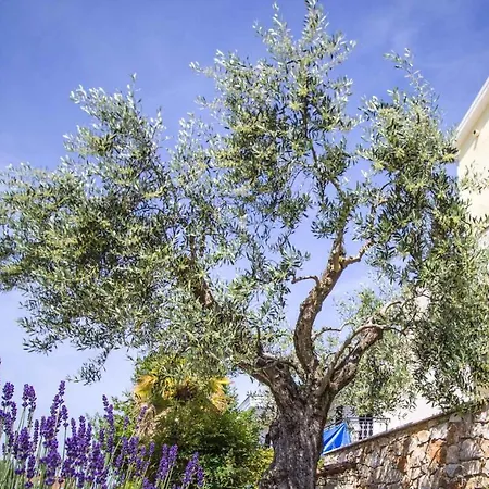 Apartamento In Porec/istrien 10252